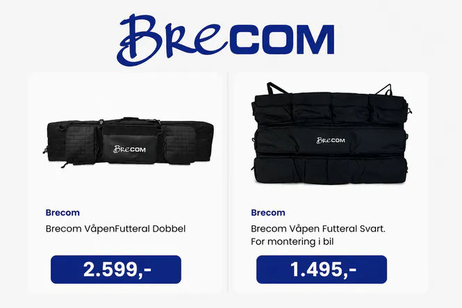 Hovedbilde Hvilket våpenfutteral??
